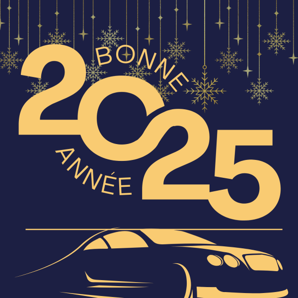 Daily Gest : L'Excellence au Service de Vos Déplacements pour 2025 à Lyon et c'est alentour